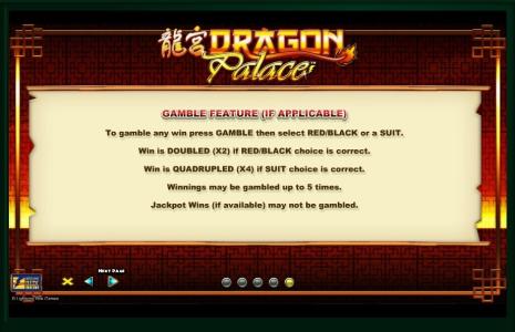 Dragon Palace Slot Machine Gamble Feature Screen