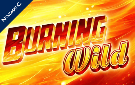Burning WILD slot logo