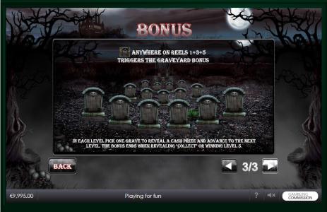 Vampire Princess of Darkness Slot Machine Game Bonus Screen