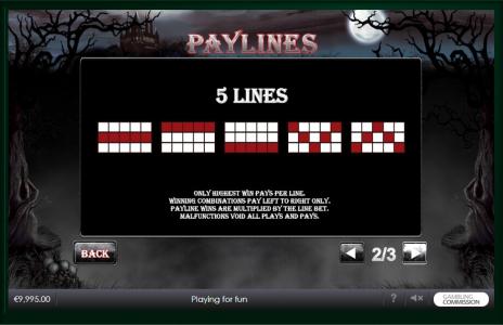 Vampire Princess of Darkness Slot Machine Paylines Screen