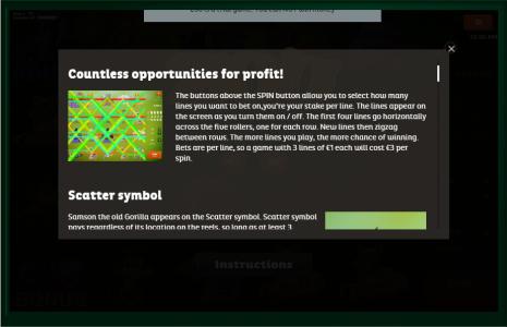 Zoo Slot Machine Paylines Screen