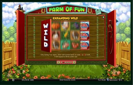 Farm of Fun Slot Machine Wild Symbol Screen