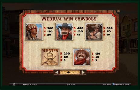 Wild Wild Spin Slot Machine Paytable Screen