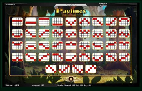 Robin Hood Slot Machine Paylines Screen