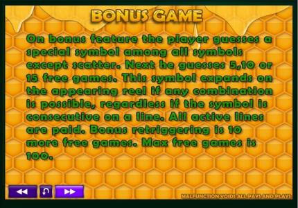 Honey Money Slot Machine Paylines Screen