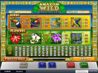 Amazon Wild Slot Machine Paytable and Paylines Screen