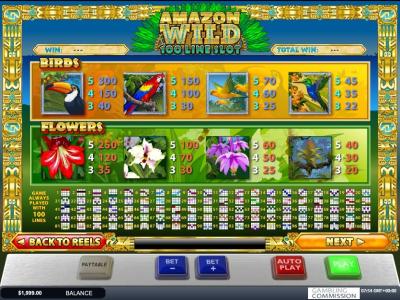 Amazon Wild Slot Machine Paytable and Paylines Screen