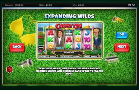 Carry On Camping Slot Machine Wild Symbol Screen