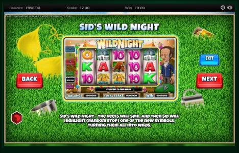 Carry On Camping Slot Machine Wild Symbol Screen