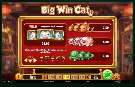 Big Win Cat Slot Machine Paytable Screen