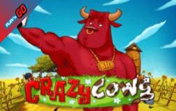 Crazy Cows slot logo