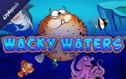 Wacky Waters slot logo