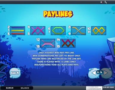 Wacky Waters Slot Machine Paylines Screen