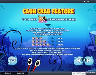 Wacky Waters Slot Machine Gamble Feature Screen