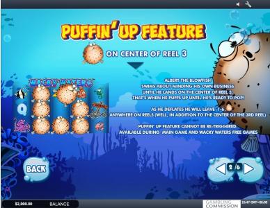 Wacky Waters Slot Machine Gamble Feature Screen
