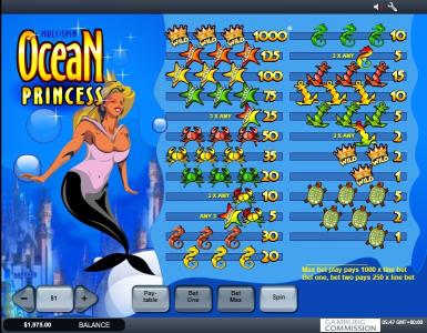Ocean Princess Slot Machine Paytable Screen