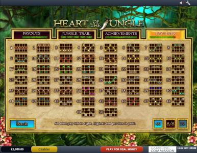 Heart of the Jungle Slot Machine Paylines Screen