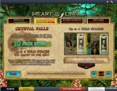 Heart of the Jungle Slot Machine Free Spins Bonus Screen