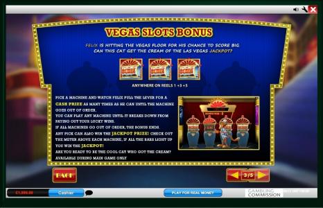 Cat In Vegas Slot Machine Game Bonus Screen