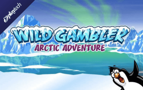 Wild Gambler Arctic Adventure slot logo