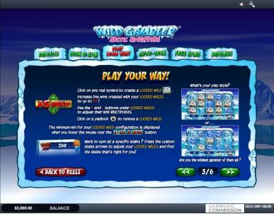 Wild Gambler Arctic Adventure Slot Machine Play Your Way Feature Screen