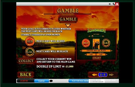 Archer Slot Machine Gamble Feature Screen