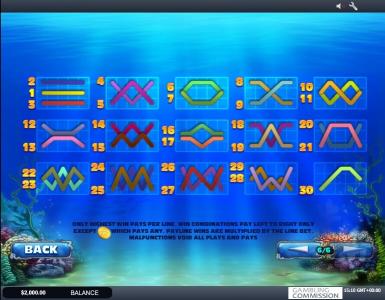 Dolphin Cash Slot Machine Paylines Screen