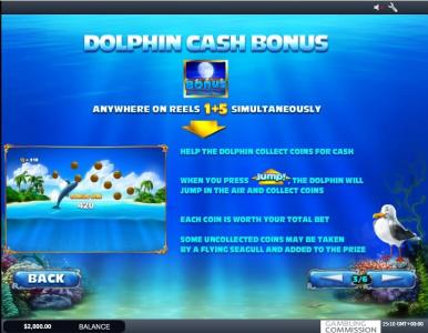 Dolphin Cash Slot Machine Bonus Game Screen