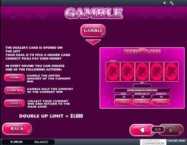 True Love Slot Machine True Love Gamble Feature Screen