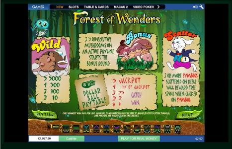 Forest of Wonders Slot Machine Scatter Awards and Wild Symbol Screen