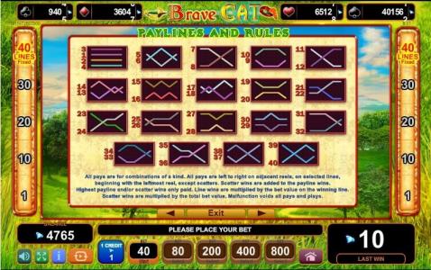 Brave Cat Slot Machine Paylines Screen