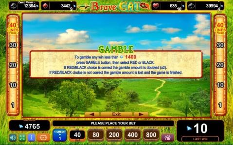 Brave Cat Slot Machine Gamble Feature Screen