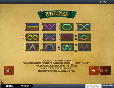 Miss Fortune Slot Machine Paylines Screen