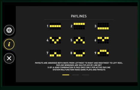 Pirates Treasure Slot Machine Paylines Screen