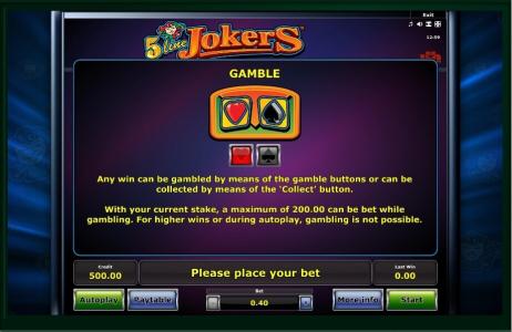 5 Line Jokers Slot Machine Gamble Feature Screen