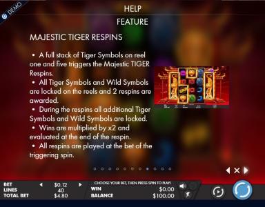 Tiger Temple Slot Machine Gamble Feature Screen
