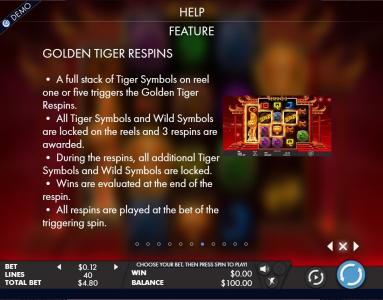Tiger Temple Slot Machine Gamble Feature Screen