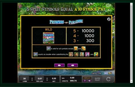 Princess of Paradise Slot Machine Wild Symbol Screen