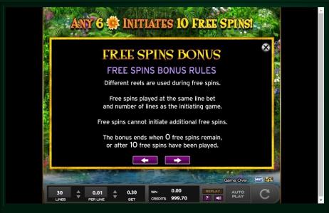 Princess of Paradise Slot Machine Free Spins Bonus Screen