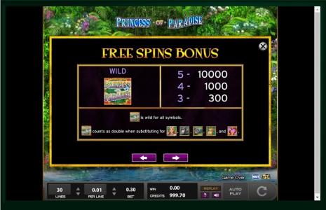 Princess of Paradise Slot Machine Paytable Screen
