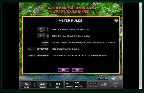 Princess of Paradise Slot Machine Game Rules Screen