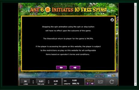 Princess of Paradise Slot Machine Game Rules Screen