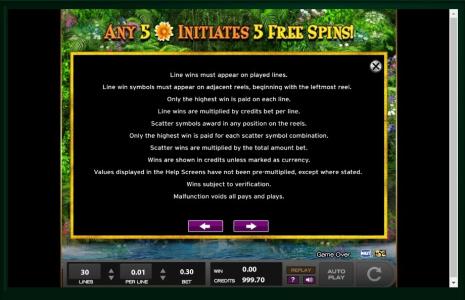 Princess of Paradise Slot Machine Game Rules Screen