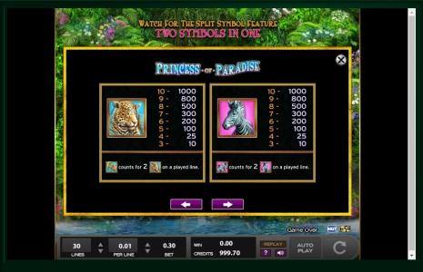 Princess of Paradise Slot Machine Paytable Screen