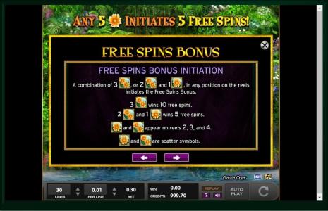 Princess of Paradise Slot Machine Free Spins Bonus Screen
