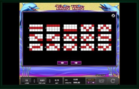 Twin Win Slot Machine Paylines Screen