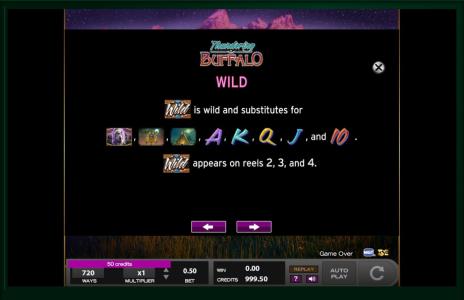 Thundering Buffalo Slot Machine Wild Symbol Screen