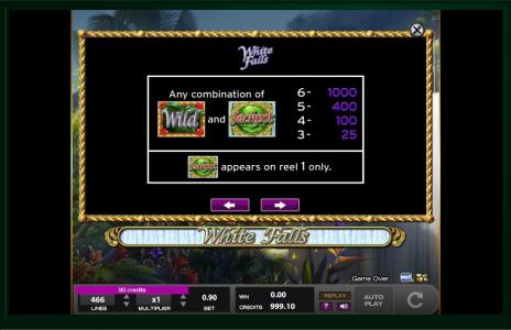 White Falls Slot Machine Wild Symbol Screen