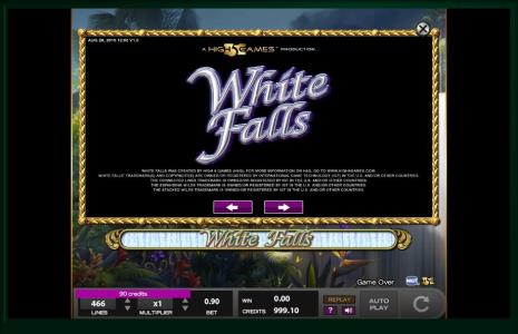Slot Machine White Falls Screen