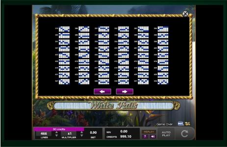 White Falls Slot Machine Paylines Screen